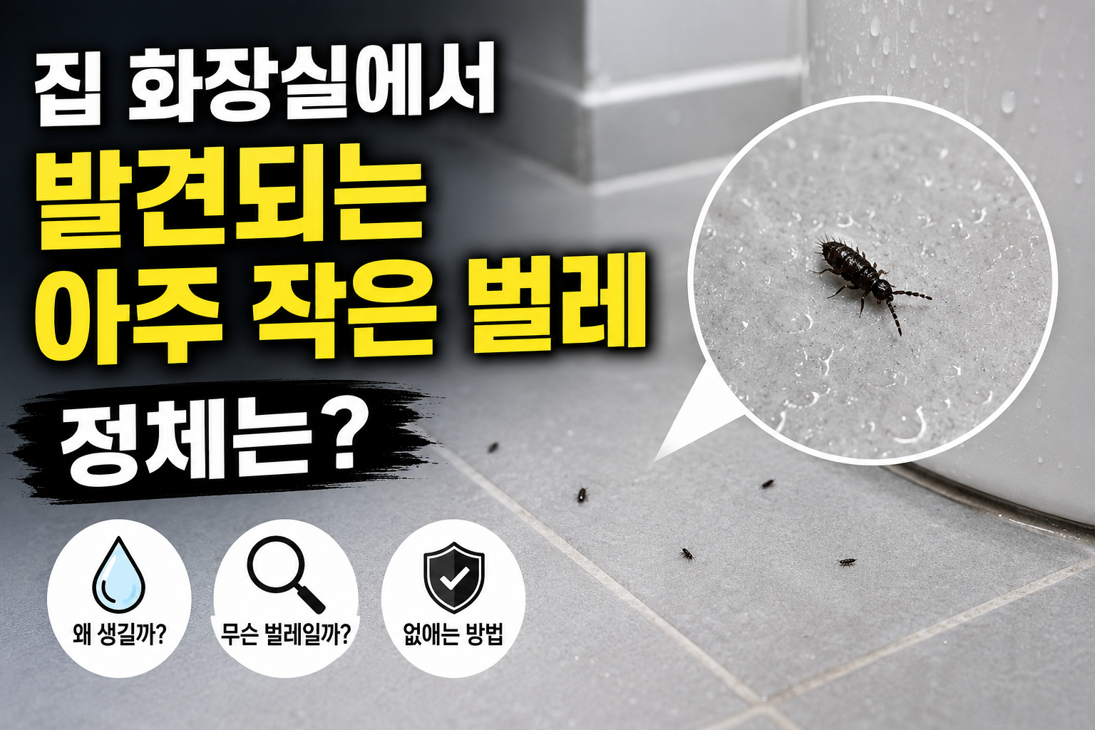 집에서 발견되는 벌레