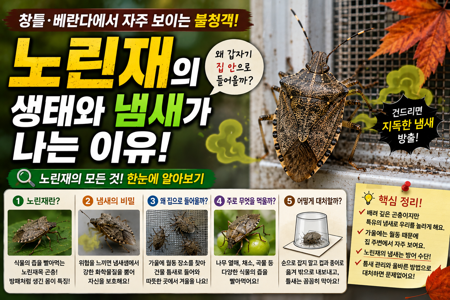 노린재의 생태와 냄새가 나는 이유